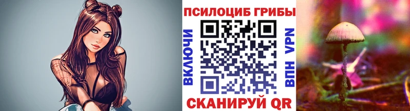 OMG зеркало купить наркотик Вязники Псилоцибиновые грибы ЛСД