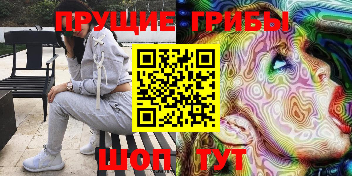 Галлюциногенные грибы Cubensis Вязники