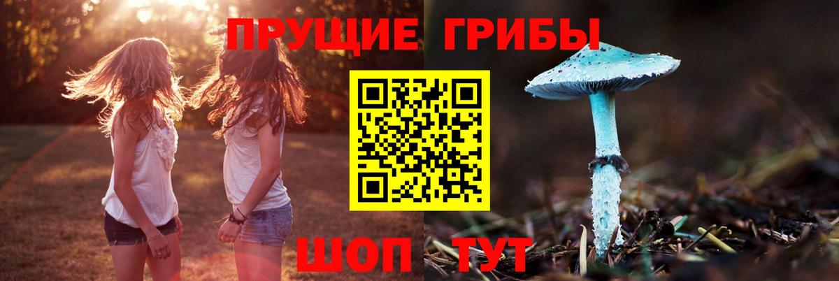 Галлюциногенные грибы Psilocybe  купить наркотики цена  Вязники  Вход с VPN 